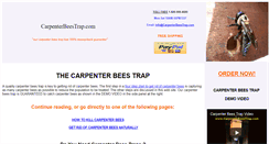 Desktop Screenshot of carpenterbeestrap.com